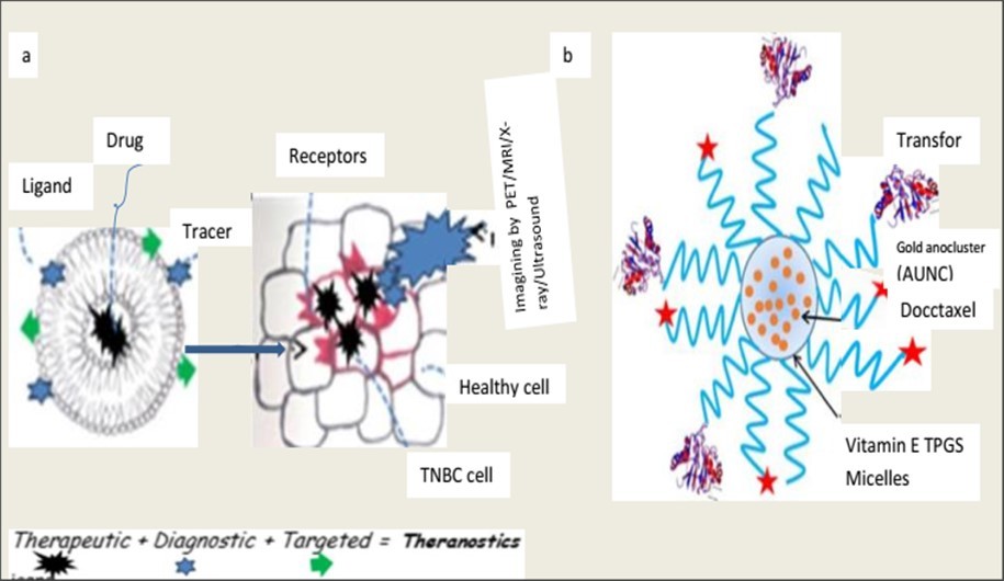 Figure 12. Diagrammatic illustration of the targeted theranostic concept. A). The anticancer drug is inserted into a liposome cavity, with ligands added for precise distribution. A tracer aids in cancer cell detection. Transferrin is conjugated to a TPGS micelle to deliver a therapeutic drug (docetaxel) and a diagnostic agent (AuNC) as a theranostic agent, ensuring targeted delivery 64.